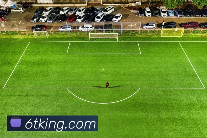 6T体育官网发展历程