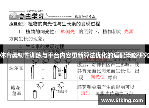 体育柔韧性训练与平台内容更新算法优化的适配策略研究